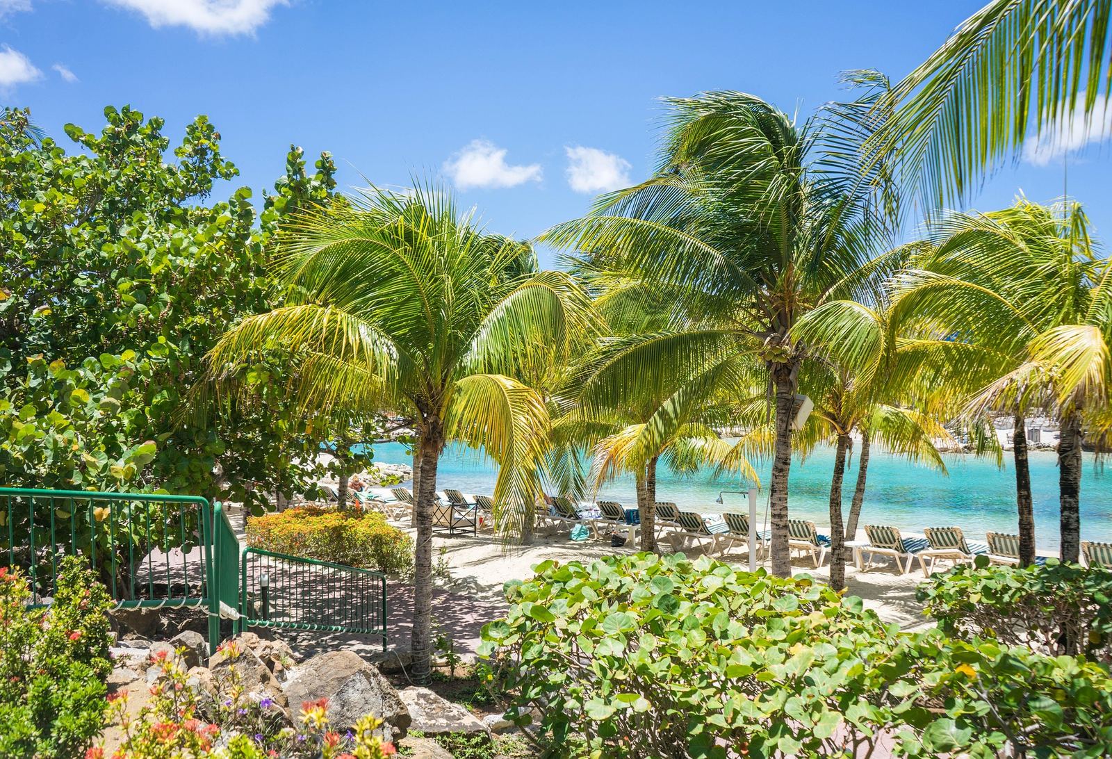 Curaçao beach with palm trees and clear water