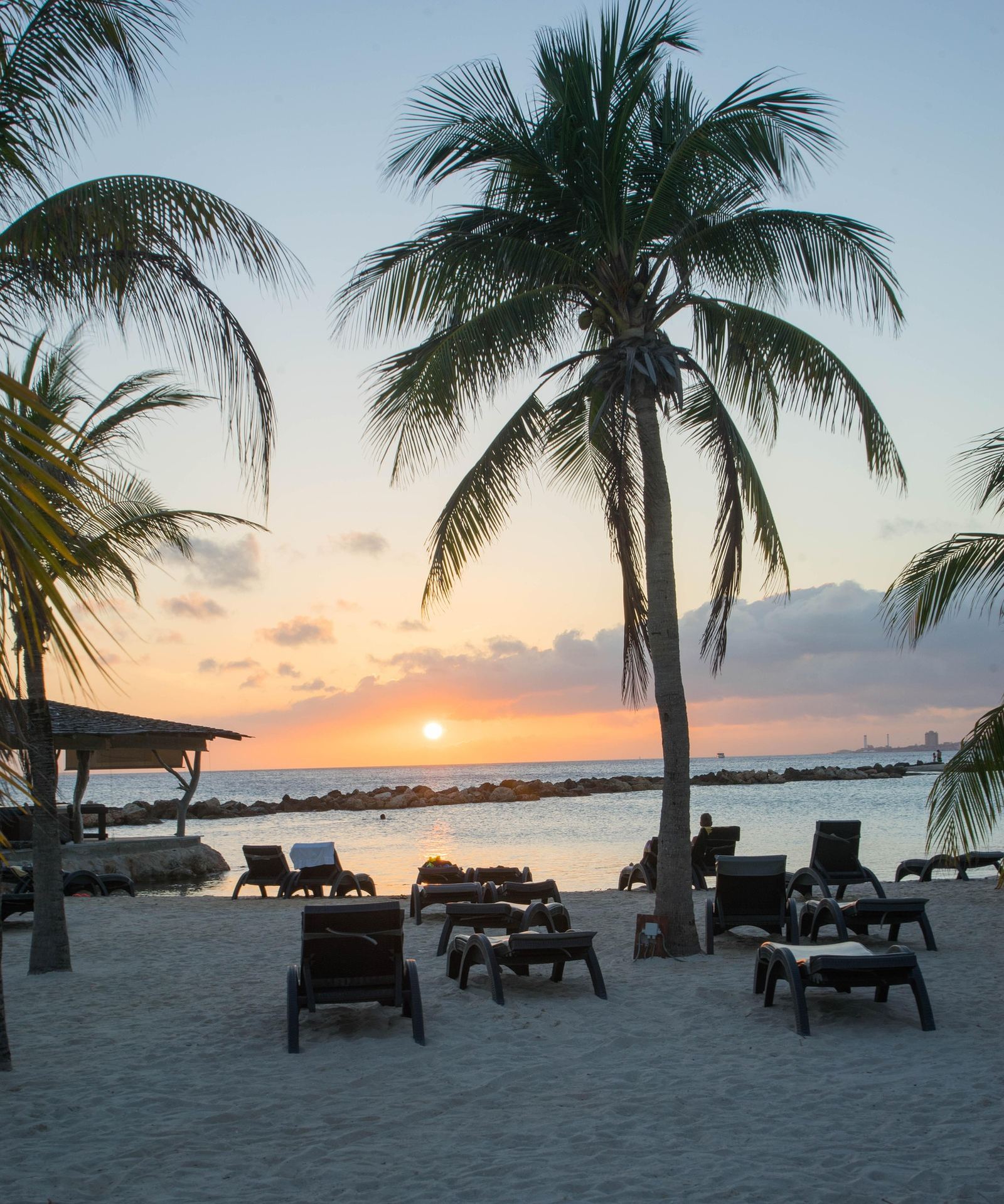 Sunset behind the palm trees on Curaçao